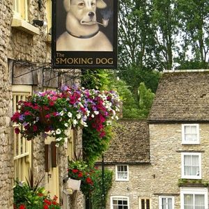 Meet your Posher, Susan